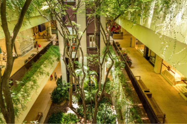 Arquitetura Regenerativa